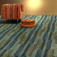 Coir Fiber