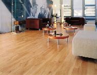 Coir Fiber