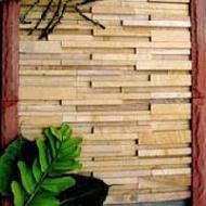 Coir Fiber