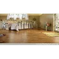 Coir Fiber
