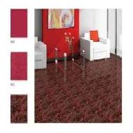 Coir Fiber