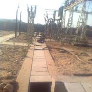 Coir Fiber