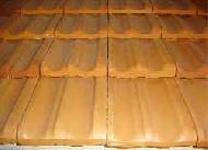 Coir Fiber