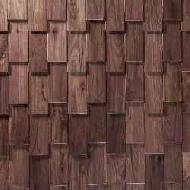 Coir Fiber