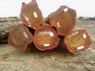 Coir Fiber