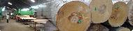 Coir Fiber