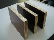 Coir Fiber