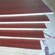 Coir Fiber