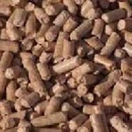 Coir Fiber