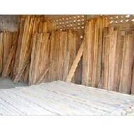 Coir Fiber