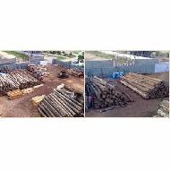 Coir Fiber