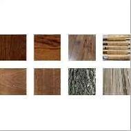 Coir Fiber