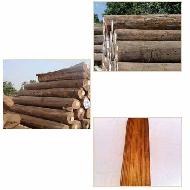 Coir Fiber