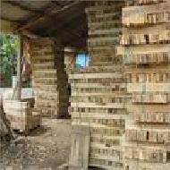 Coir Fiber