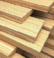 Coir Fiber