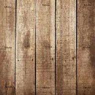 Coir Fiber