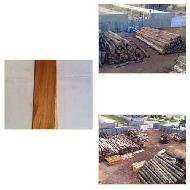 Coir Fiber
