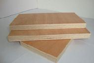 Coir Fiber
