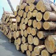 Coir Fiber