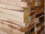 Coir Fiber