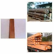 Coir Fiber