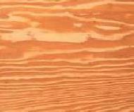 Coir Fiber