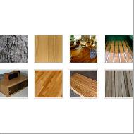 Coir Fiber