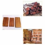 Coir Fiber