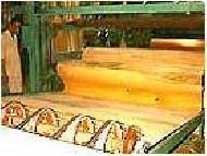 Coir Fiber