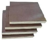 Coir Fiber
