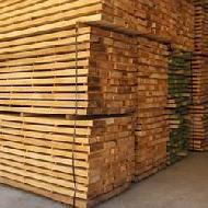 Coir Fiber