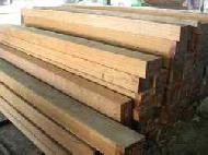 Coir Fiber