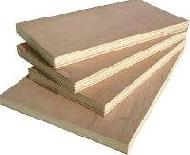 Coir Fiber