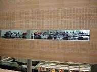 Coir Fiber