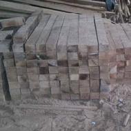Coir Fiber
