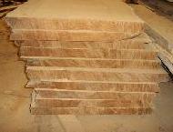 Coir Fiber