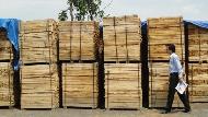 Coir Fiber