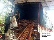 Coir Fiber