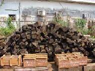 Coir Fiber