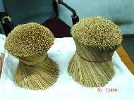 Coir Fiber