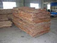 Coir Fiber