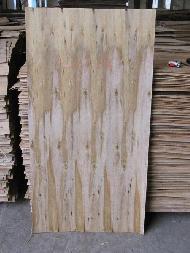Coir Fiber