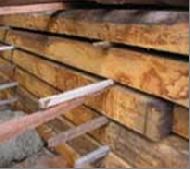 Coir Fiber