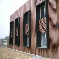 Coir Fiber