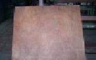 Coir Fiber