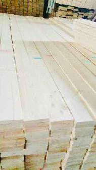 Coir Fiber