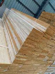Coir Fiber