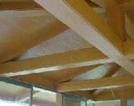 Coir Fiber
