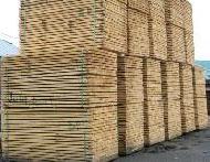 Coir Fiber