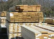 Coir Fiber